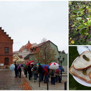 Herbstwanderung 2025